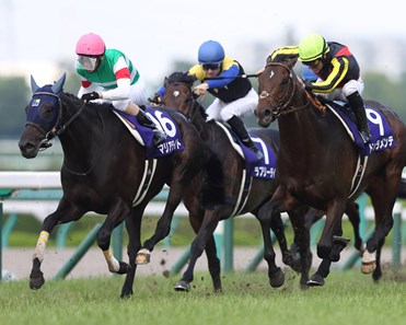 Marialite (JPN) - Horse Profile - BloodHorse