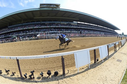 Frosted - Horse Profile - BloodHorse