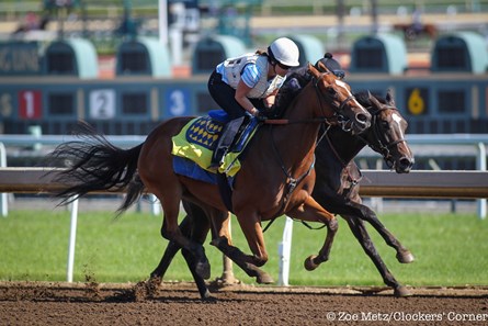 American Cleopatra - Horse Profile - BloodHorse