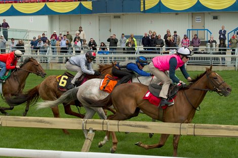 Woodbine to Hold First Clockwise Race June 10 - BloodHorse