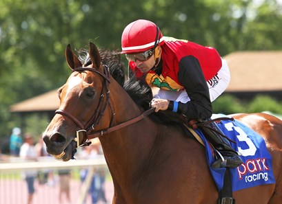 A. P. Indian - Horse Profile - BloodHorse