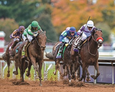 Nyquist - Horse Profile - BloodHorse