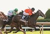 Sarah Sis with Florent Geroux wins the Lexus Raven Run (gr. II) at Keeneland  near Lexington, Ky., on Oct. 15, 2015.
