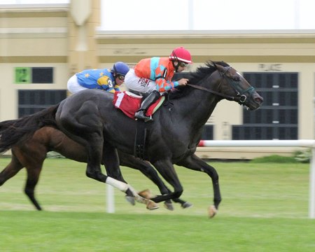 Take Cover Takes Over in PA Governor's Cup - BloodHorse