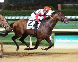Grade 1 Winner Bradester to Stud at Valor Farm Grade 1 Winner Bradester to Stud at Valor Farm