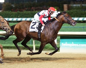 Grade 1 Winner Bradester to Stud at Valor Farm