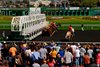 Horses break from the gate at Golden Gate Fields