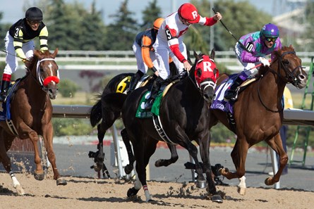 Sir Dudley Digges - Horse Profile - BloodHorse