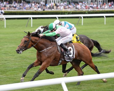 Deauville Ire Horse Profile Bloodhorse