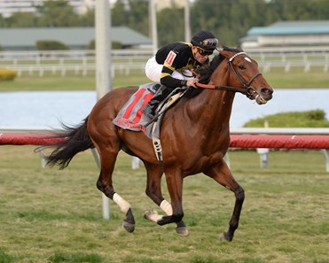 Long On Value - Horse Profile - BloodHorse