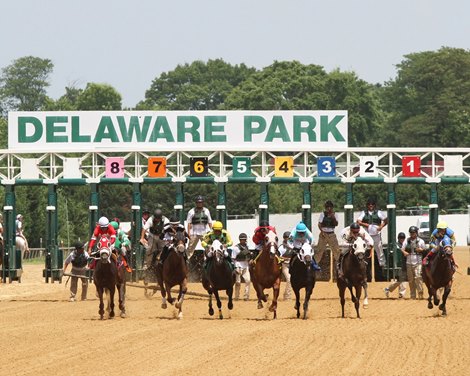 casino at delaware park sports betting