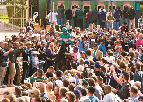 John Shirreffs Collection Featuring Zenyatta Memorabilia Heads to Auction