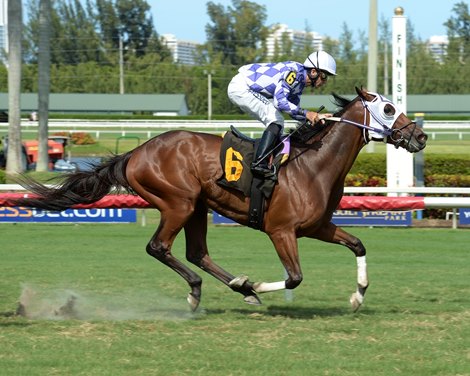 Little Mike Fifth After Lengthy Layoff - BloodHorse