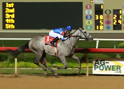 Bling On the Music - Horse Profile - BloodHorse
