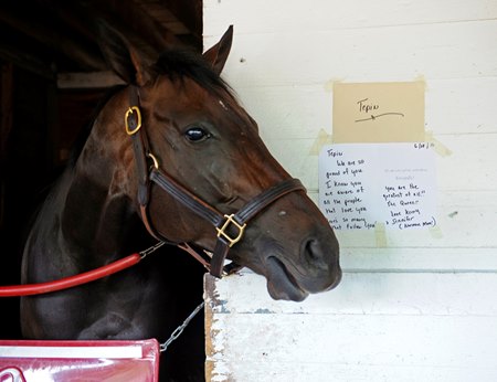 Tepin Excels in Advance of Woodbine Mile - BloodHorse