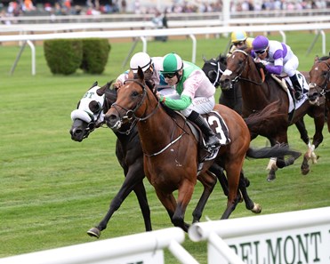 Deauville Ire Horse Profile Bloodhorse