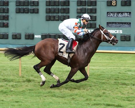 a sales analysis report Wins  Death  BloodHorse After Day Trainer's Blame Angel a