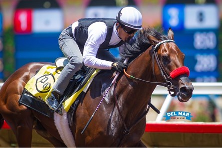 Nyquist - Horse Profile - BloodHorse