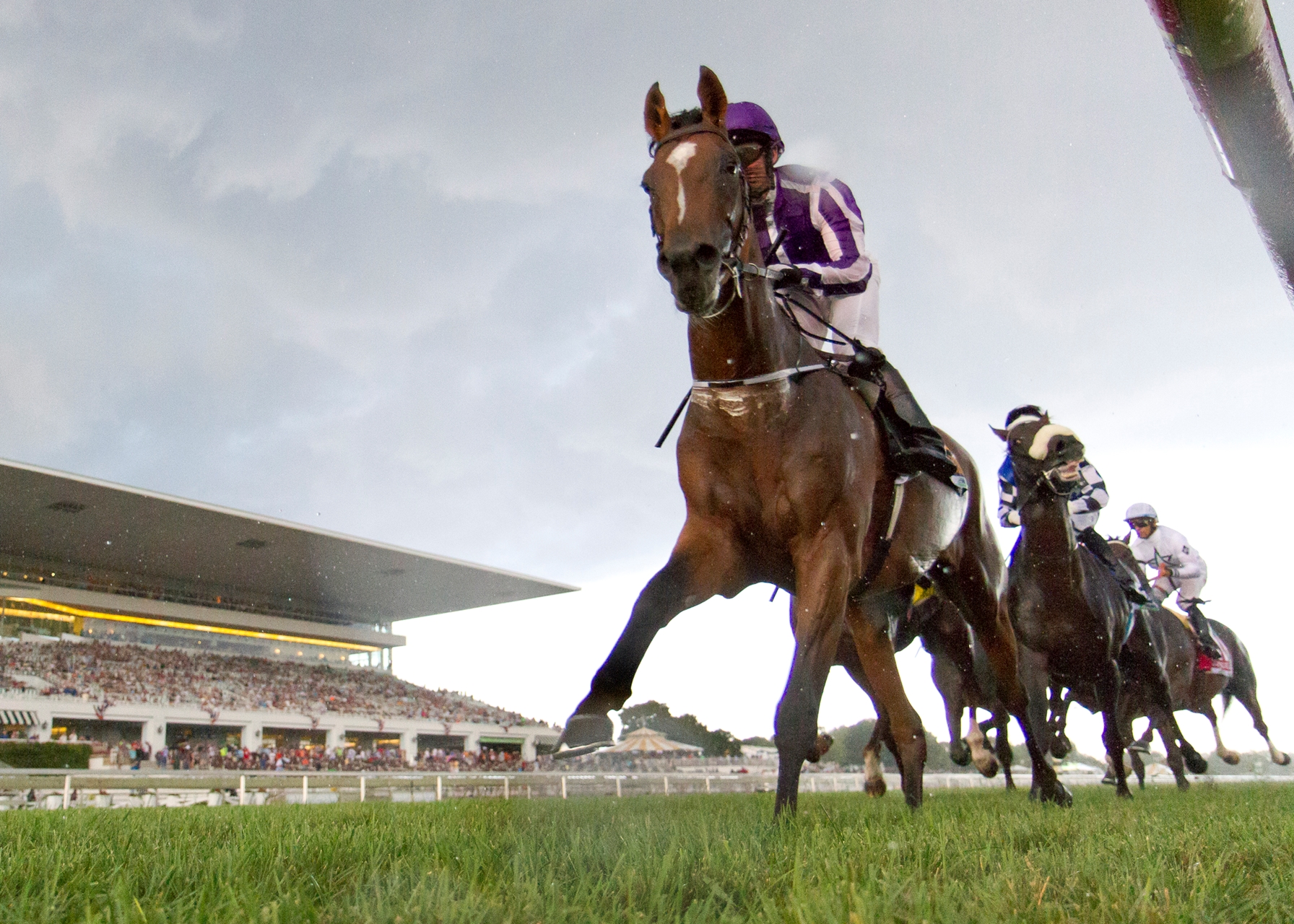 Globetrotter Highland Reel Set for Curtain Call BloodHorse