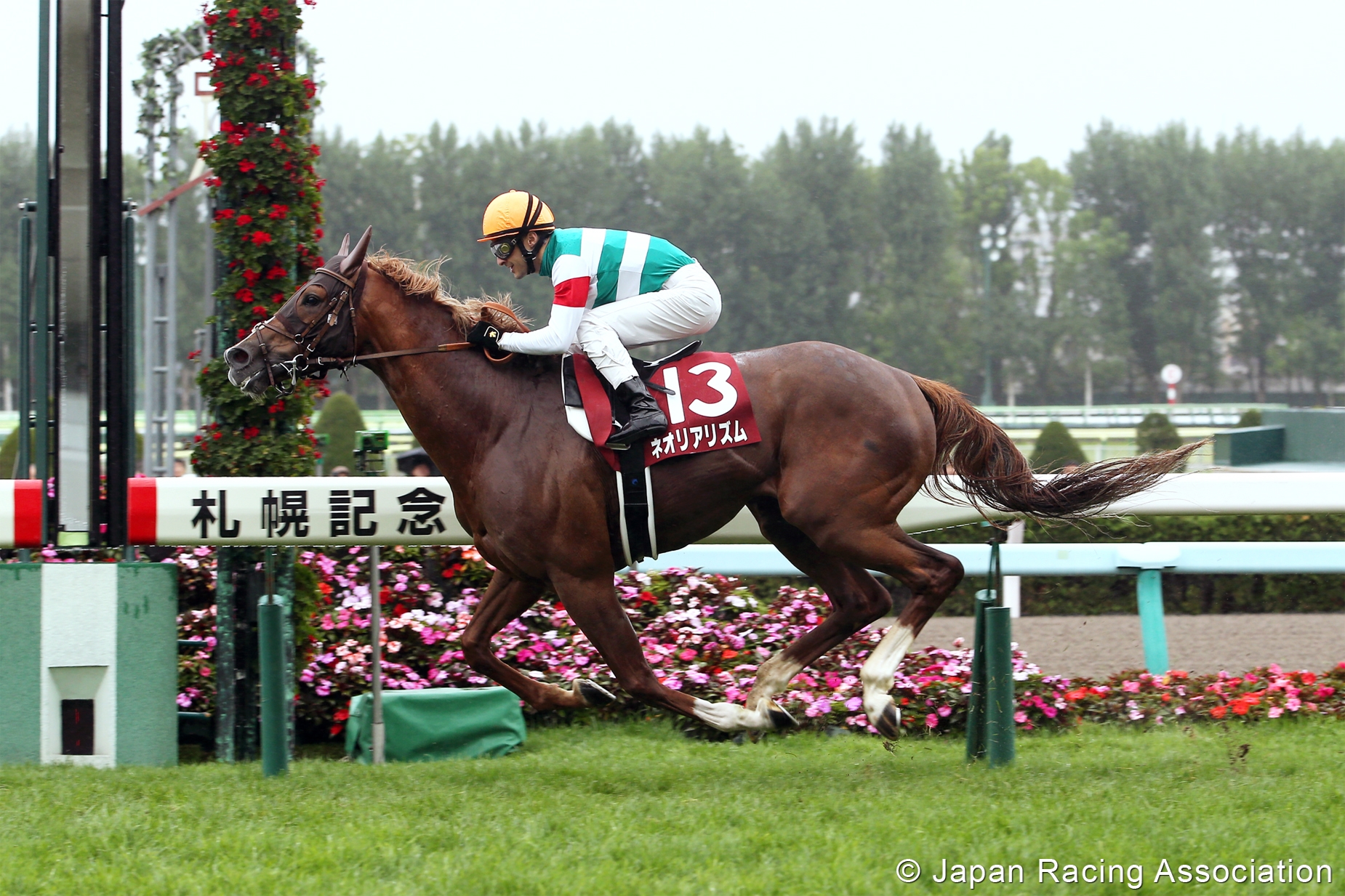 Box+デッキ+パック GI ALLSTAR&#39;S Japan Horse Racing 2012 パック単位販売】Digital Game Card GI ALLSTAR'S Japan Horse