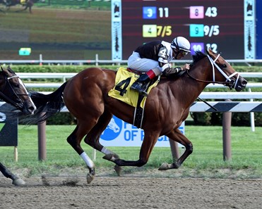 Cherry Lodge - Horse Profile - BloodHorse