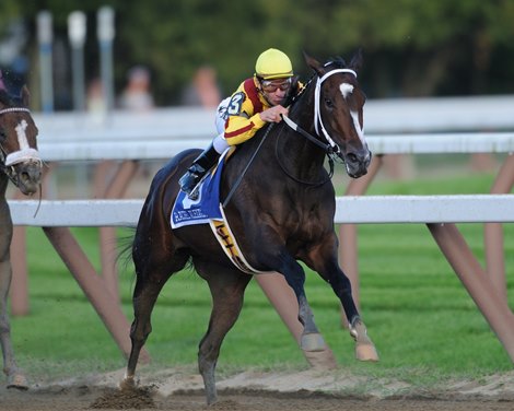 Female Horses Of The Year Present In Pedigrees At F-t - Bloodhorse