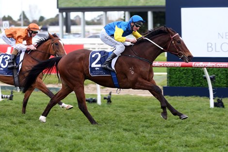 'Bart' Wins Australia's First GI of Season - BloodHorse