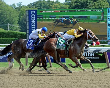 Cavorting - Horse Profile - BloodHorse