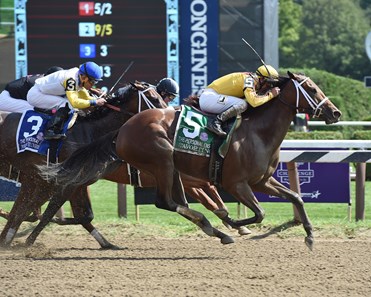 Cavorting - Horse Profile - BloodHorse