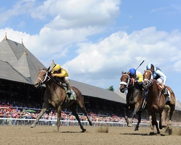 Cavorting - Horse Profile - BloodHorse