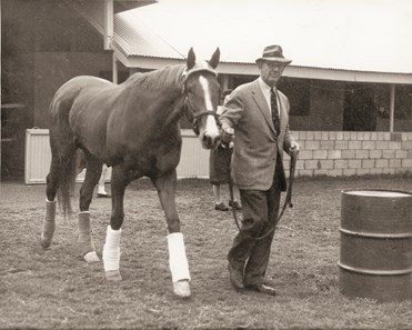2016 Racing Hall of Fame - Slideshow - BloodHorse