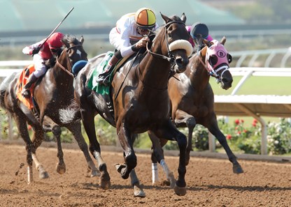 Soi Phet - Horse Profile - BloodHorse