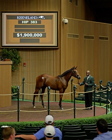 Pope buys Tapit colt for $2.1 million