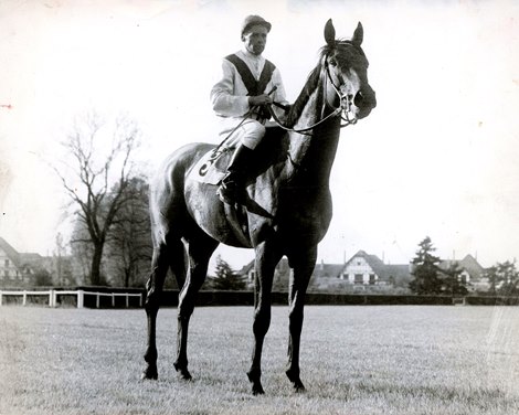 Two-time Arc Winner Ribot - Bloodhorse