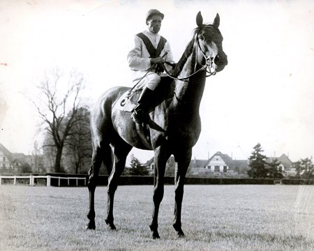 Two-Time Arc Winner Ribot - BloodHorse