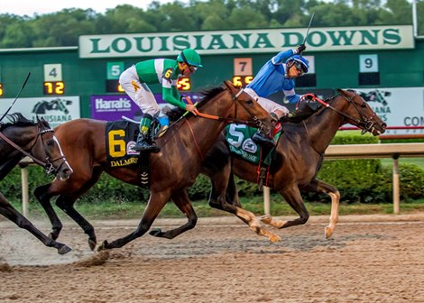 chrome texas downs louisiana derby super bloodhorse horse triumph rail announces stakes schedule