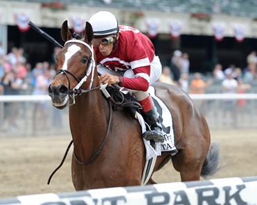 Untapable - Horse Profile - BloodHorse