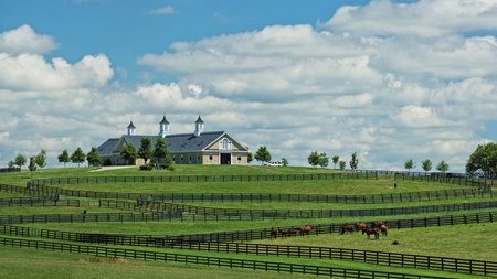 Adena Springs Farm