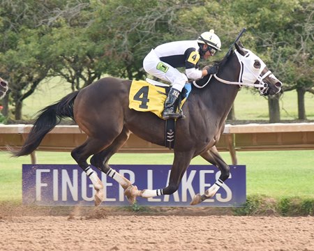 Finger Lakes Racing Finger Lakes Racing