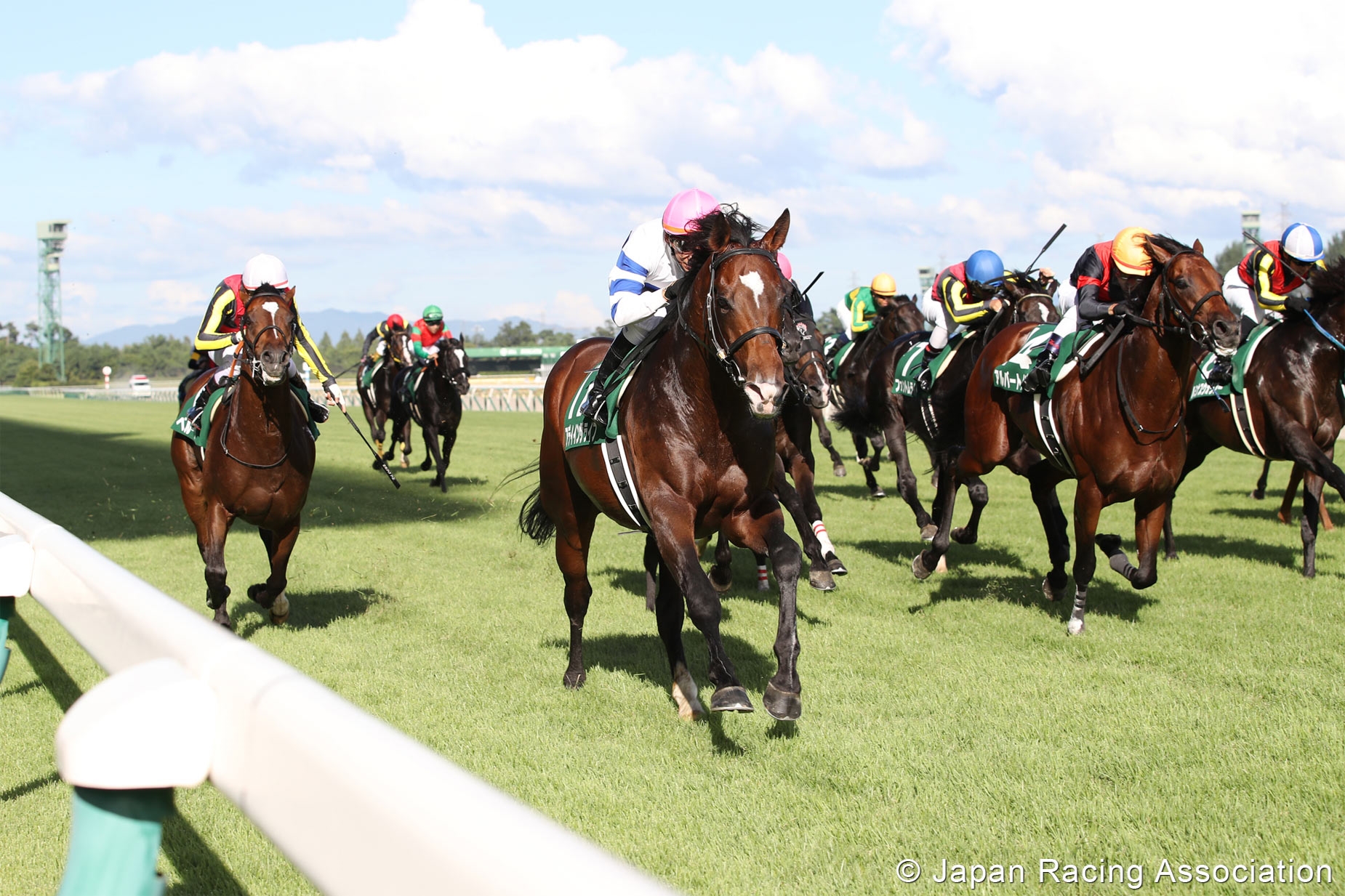 Limited Spectators to be Allowed at Niigata Racecourse BloodHorse