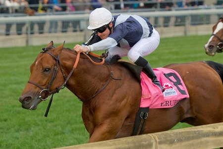 Erupt Runs Away With Canadian International - BloodHorse