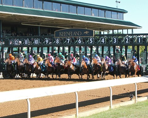 keeneland bloodhorse meet fall