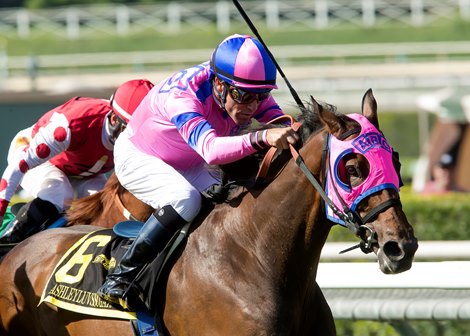 Ashleyluvssugar Set for Hollywood Turf Cup - BloodHorse