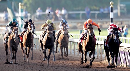 Beholder - Horse Profile - BloodHorse