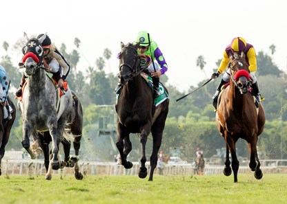 Jockey Jockey