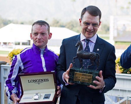 Image result for aidan o'brien breeders cup