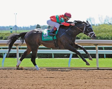 Protonico with Javier Castellano wins the Ben Ali Stakes (gr. III) at Keeneland on April 11, 2015.