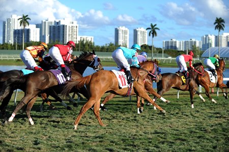 gulfstream barns released from precautionary quarantine bloodhorse