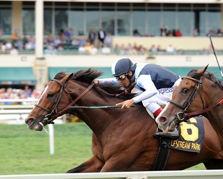 War Correspondent wins the 2015 Appleton Stakes at Gulfstream Park