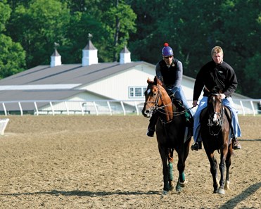 Animal Kingdom - Horse Profile - BloodHorse